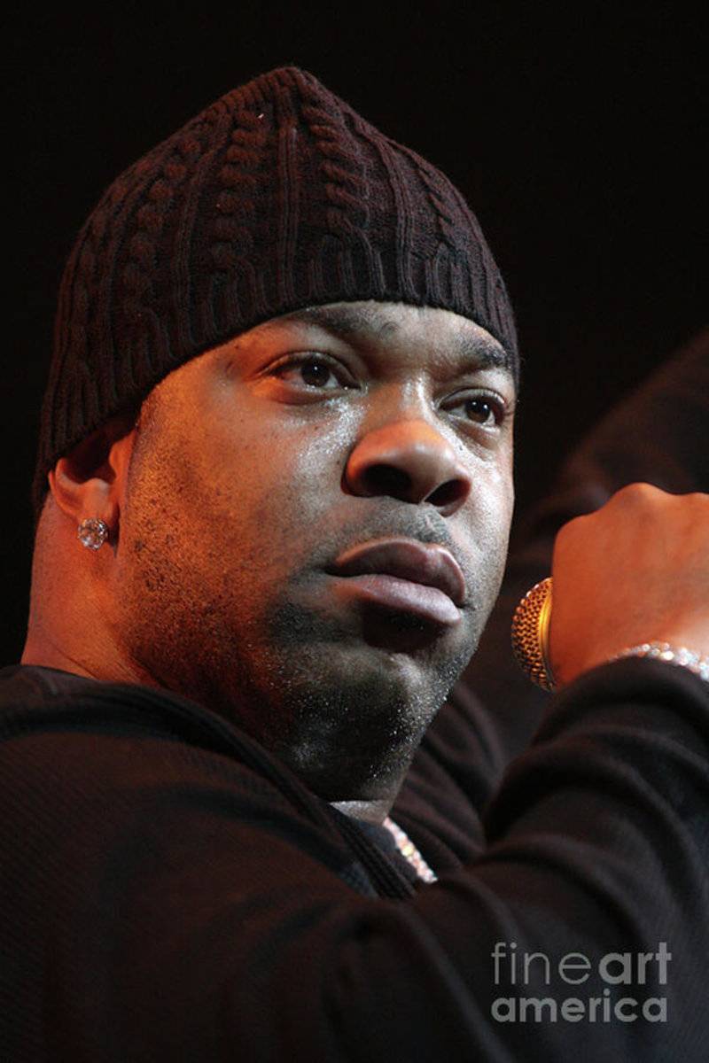 Busta Rhymes - Rapper - Poster | Canvas Wall Art Print