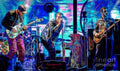 Coldplay Collection Chris Martin - Poster | Canvas Wall Art Print