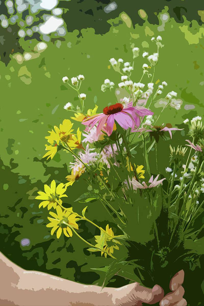 Cut Flowers - Poster | Canvas Wall Art Print