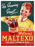 New Zealand Vintage Advertising - Poster | Canvas Wall Art Print