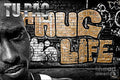 Street Phenomenon 2Pac - Rapper - Poster | Canvas Wall Art Print