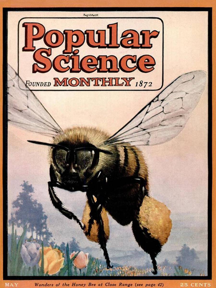 Popular Science Magazine Covers - Poster | Canvas Wall Art Print