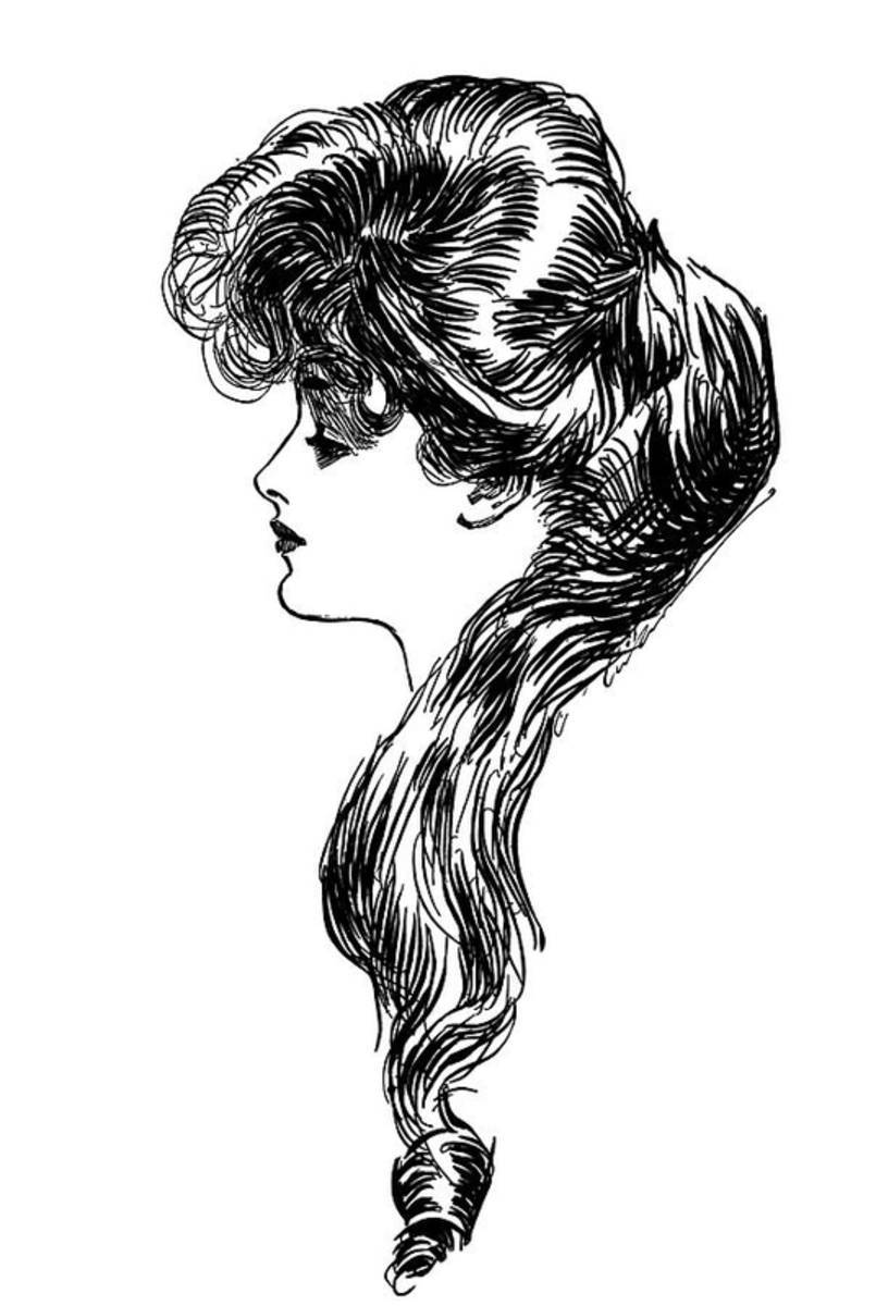 1900S 1898 Profile Sketch Turn - Poster | Canvas Wall Art Print
