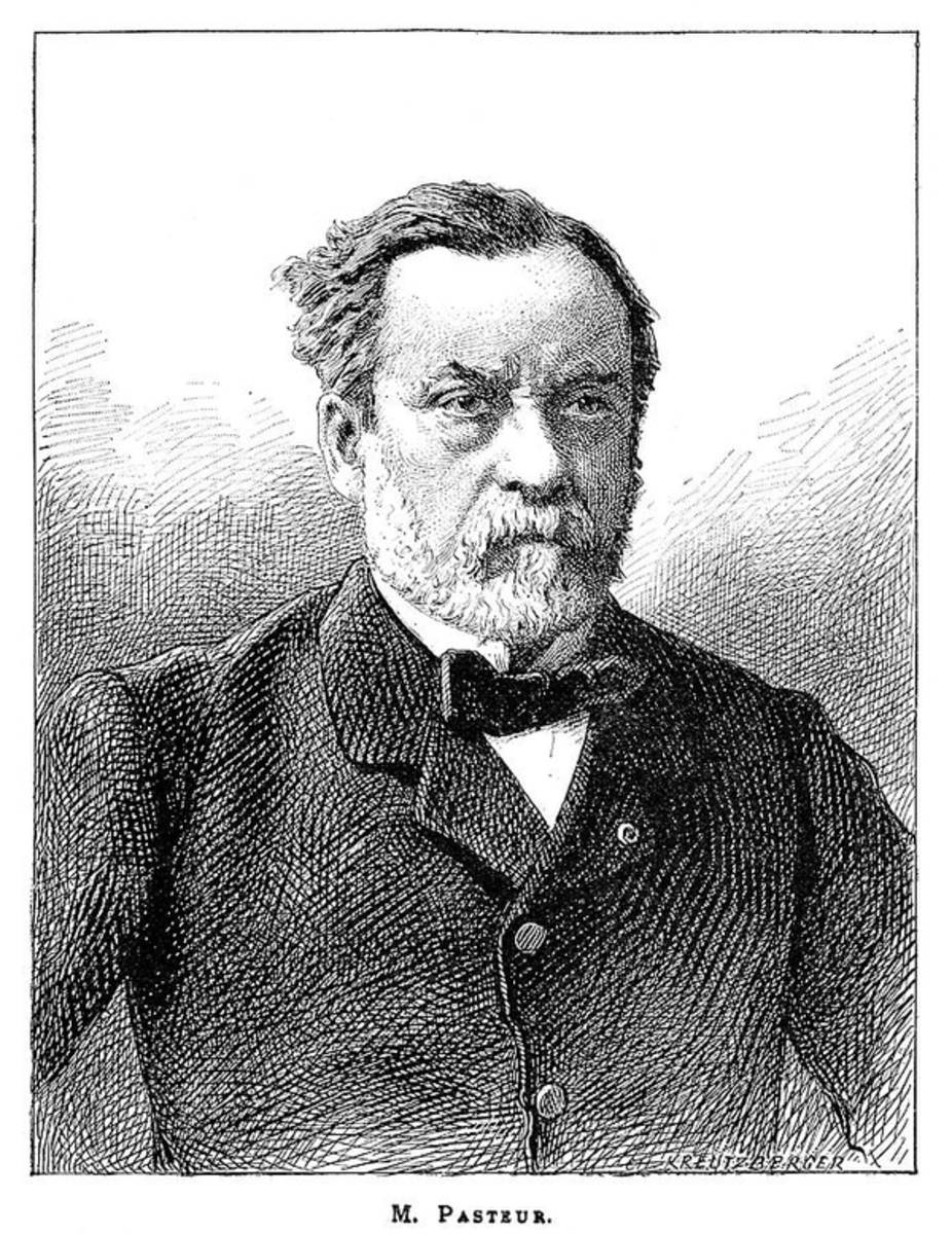 Louis Pasteur, French Microbiologist - Poster | Canvas Wall Art Print
