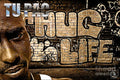 Street Phenomenon 2Pac - Rapper - Poster | Canvas Wall Art Print