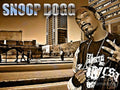 Street Phenomenon Snoop Dogg - Rapper - Poster | Canvas Wall Art Print