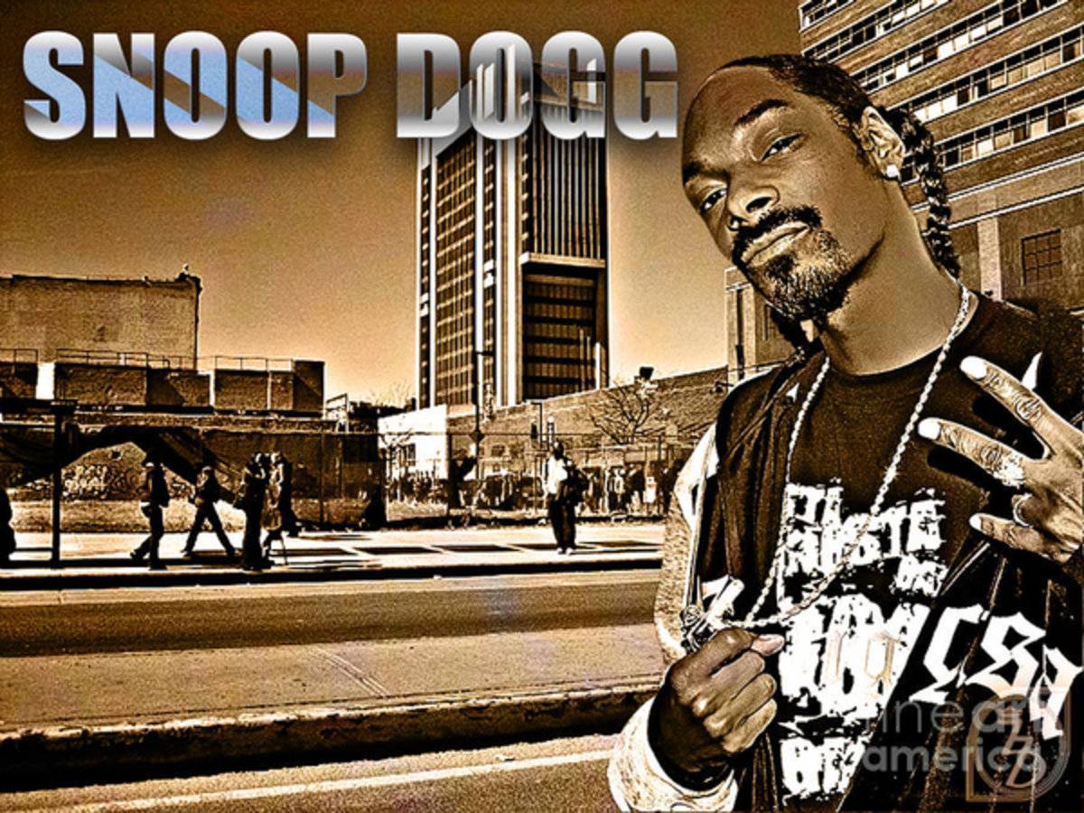 Street Phenomenon Snoop Dogg - Rapper - Poster | Canvas Wall Art Print