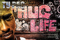 Street Phenomenon 2Pac - Rapper - Poster | Canvas Wall Art Print