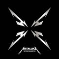 Beyond Magnetic - Metallica - Poster | Canvas Wall Art Print
