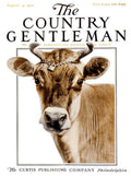 Cover Of Country Gentleman Agricultural - Poster | Canvas Wall Art Print