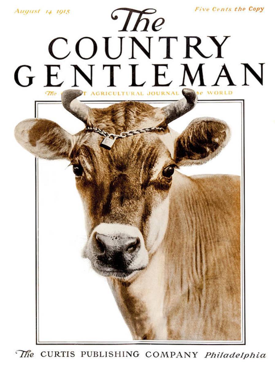 Cover Of Country Gentleman Agricultural - Poster | Canvas Wall Art Print