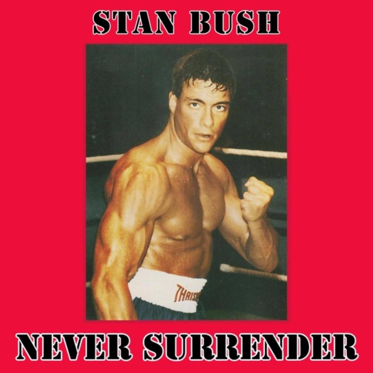 Never Surrender (From Kickboxer) - Stan Bush - Poster | Canvas Wall Art Print
