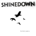 The Sound Of Madness - Shinedown - Poster | Canvas Wall Art Print