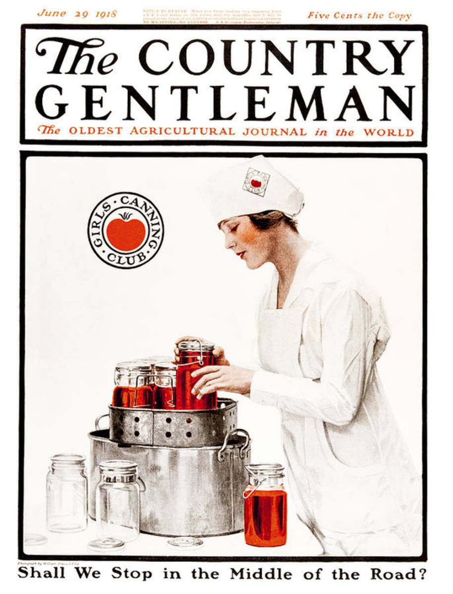 Cover Of Country Gentleman Agricultural - Poster | Canvas Wall Art Print