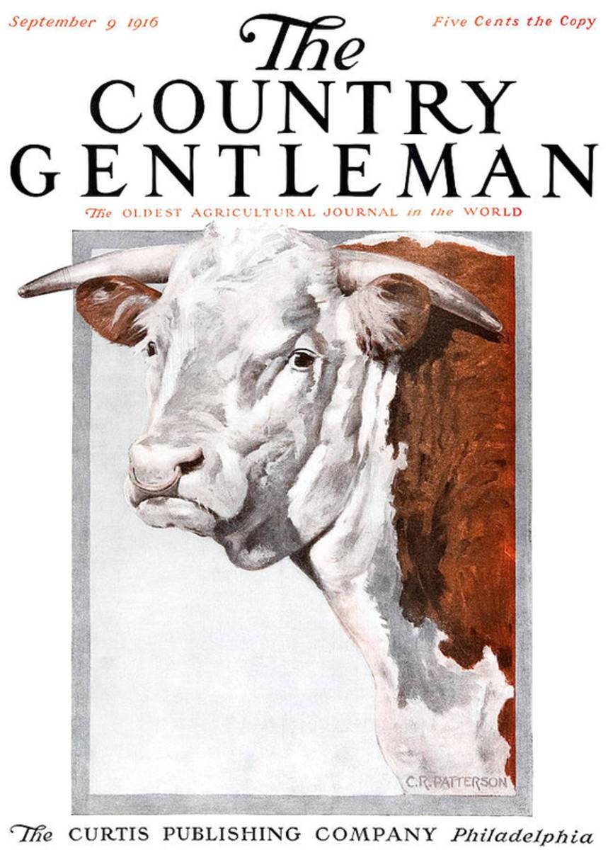 Cover Of Country Gentleman Agricultural - Poster | Canvas Wall Art Print