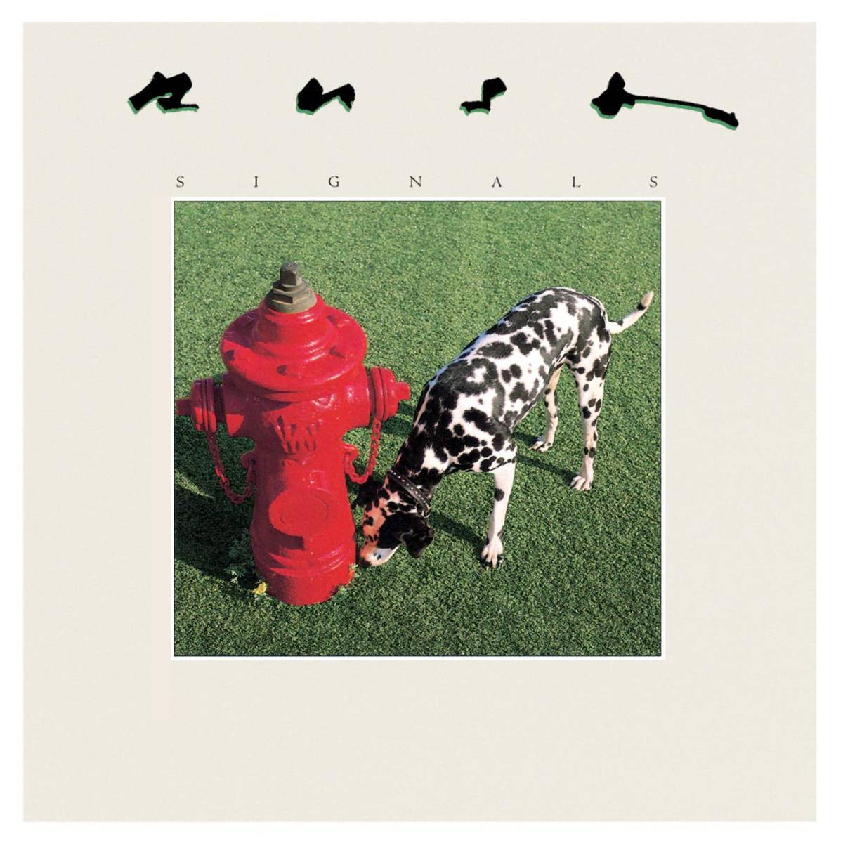 Signals - Rush - Poster | Canvas Wall Art Print