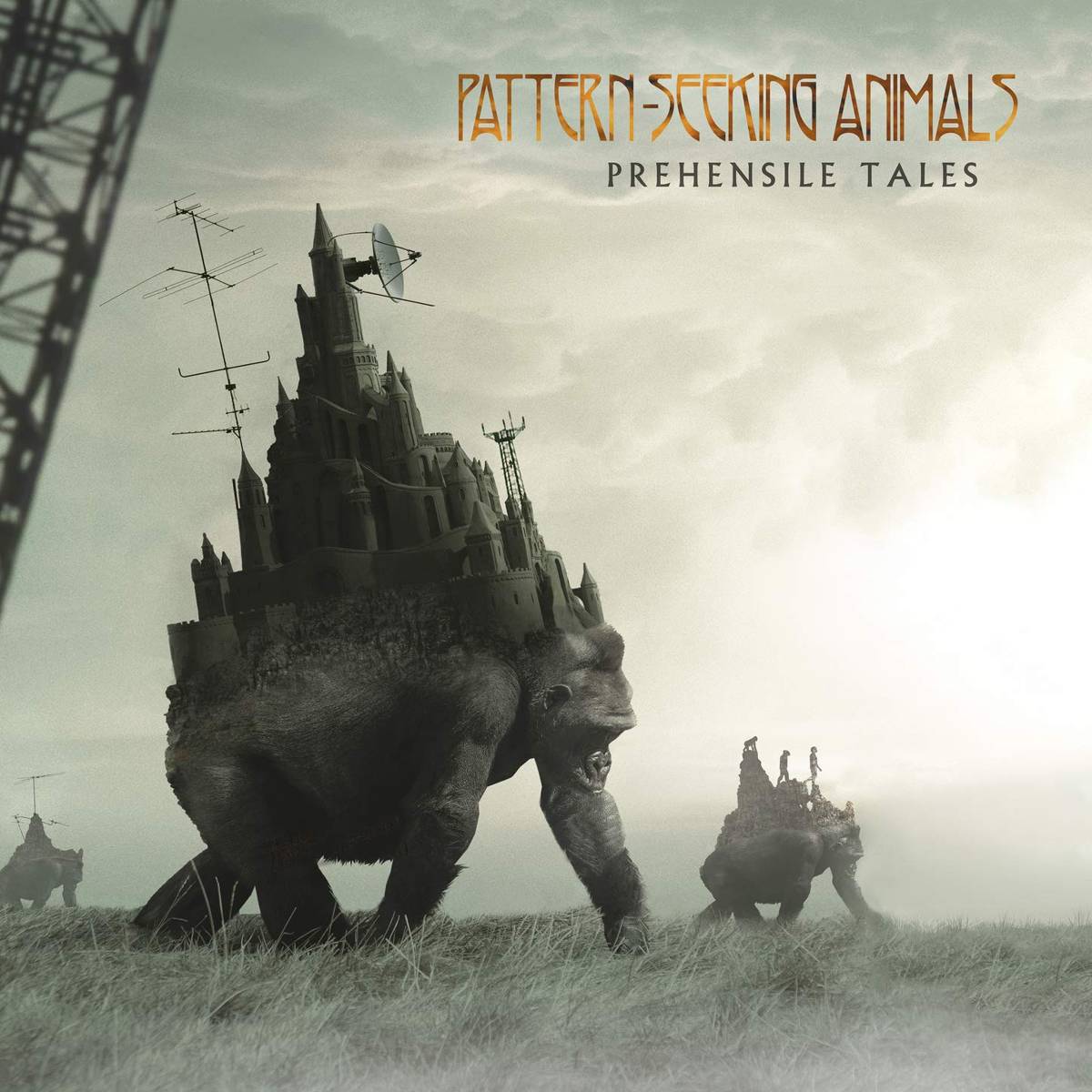 Prehensile Tales - Pattern-Seeking Animals - Poster | Canvas Wall Art Print