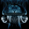 Lost Whispers - Evanescence - Poster | Canvas Wall Art Print