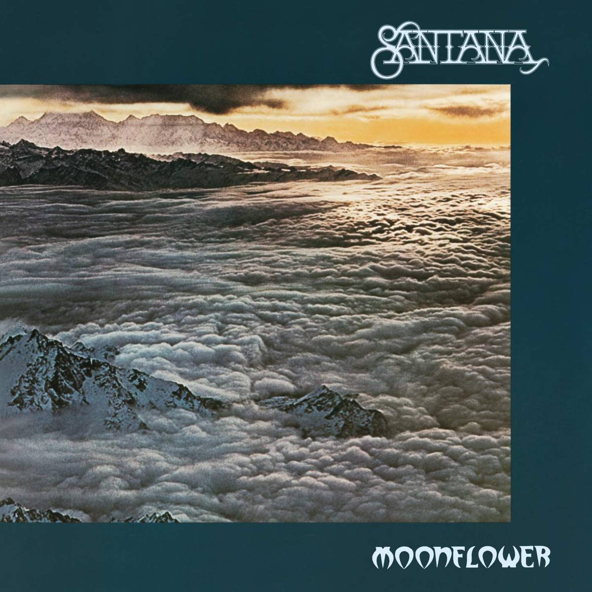 Moonflower - Santana - Poster | Canvas Wall Art Print