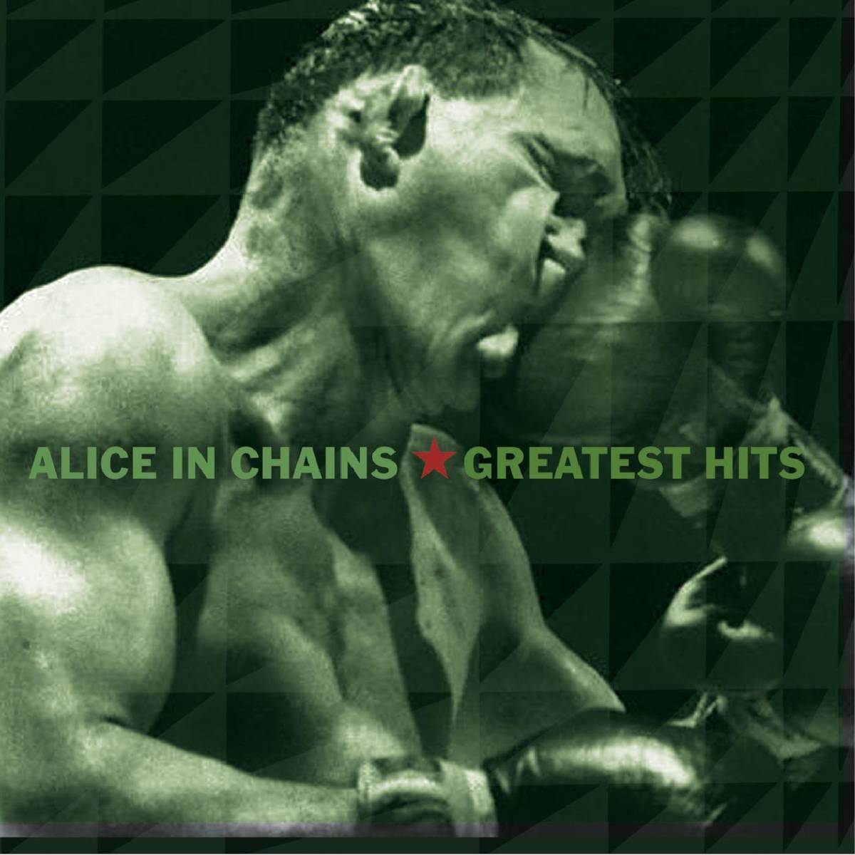Greatest Hits - Alice In Chains - Poster | Canvas Wall Art Print