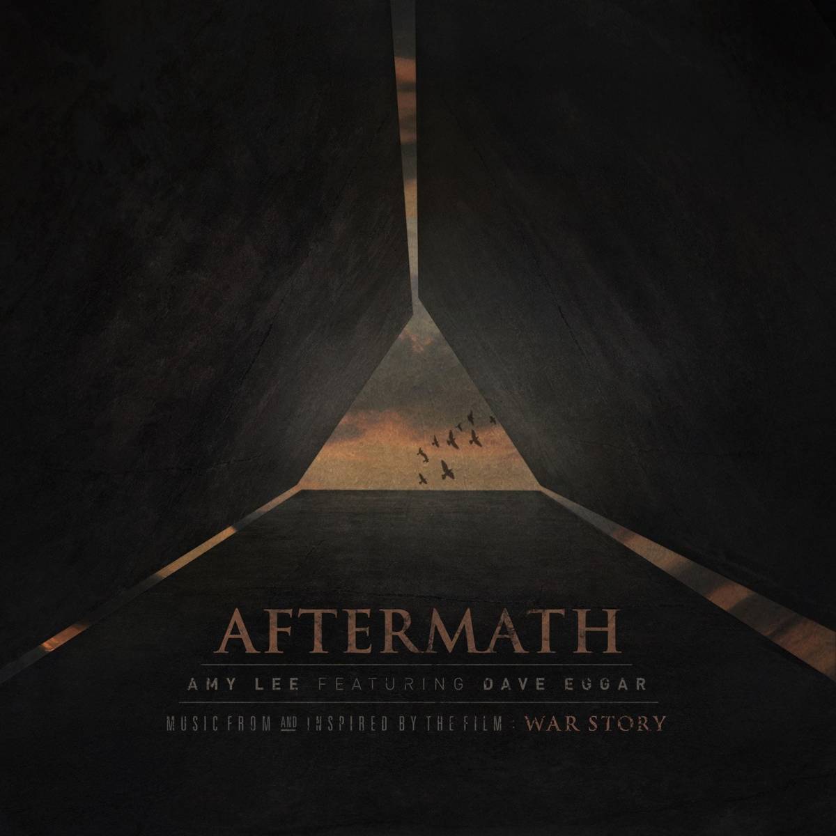 Aftermath - Amy Lee - Poster | Canvas Wall Art Print