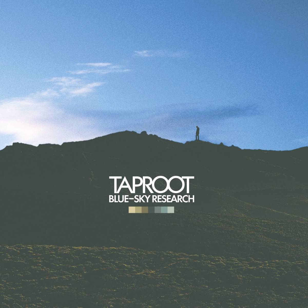 Blue-Sky Research (U.S. Version) - Taproot - Poster | Canvas Wall Art Print