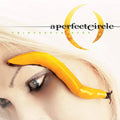 Thirteenth Step - A Perfect Circle - Poster | Canvas Wall Art Print