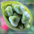 Extraordinary Machine - Fiona Apple - Poster | Canvas Wall Art Print