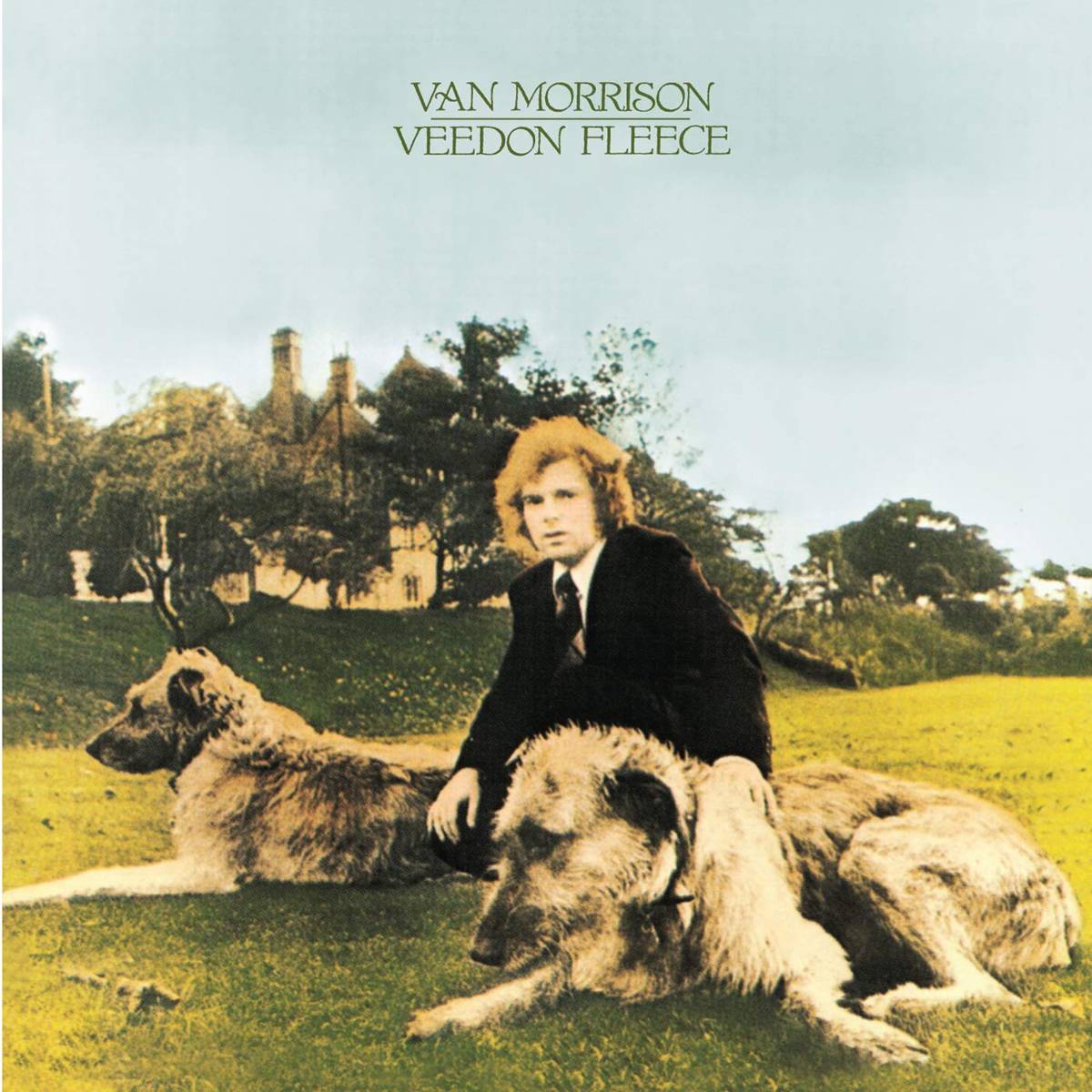 Veedon Fleece - Van Morrison - Poster | Canvas Wall Art Print