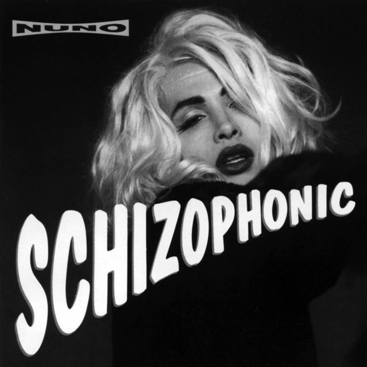 Schizophonic - Nuno - Poster | Canvas Wall Art Print