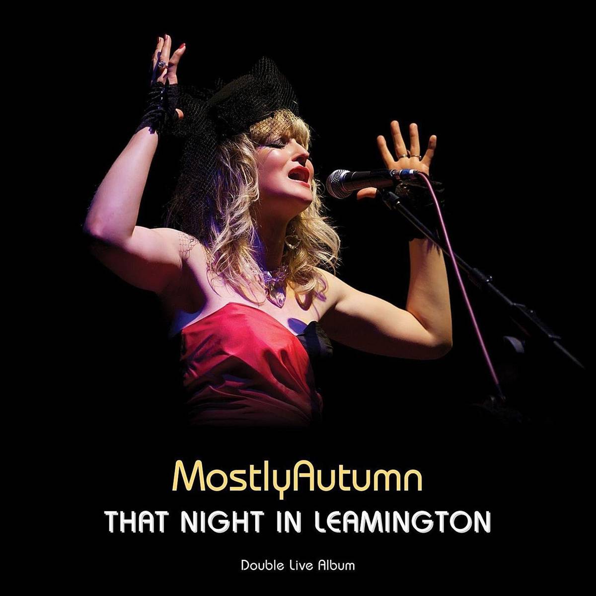 That Night In Leamington - Mostly Autumn - Poster | Canvas Wall Art Print