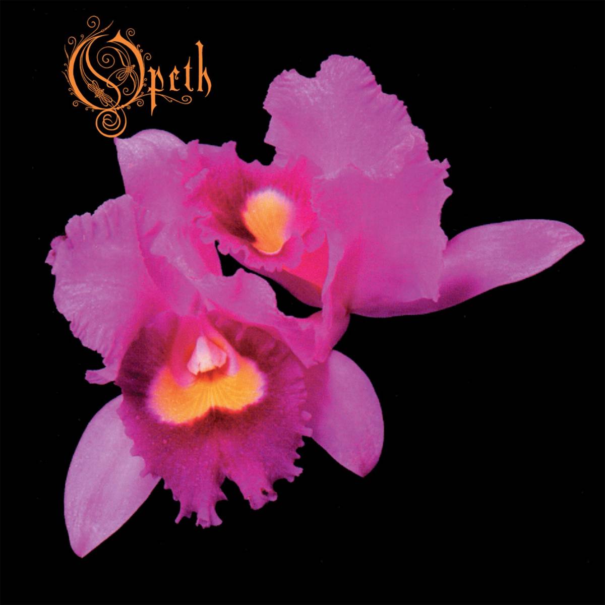 Orchid - Opeth - Poster | Canvas Wall Art Print