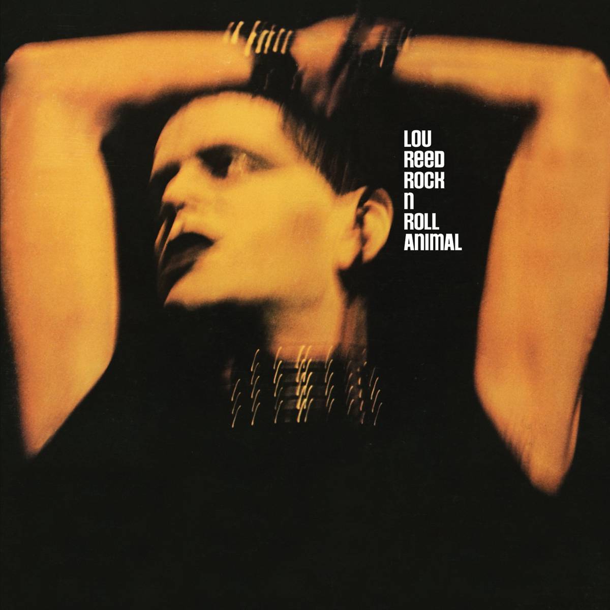 Rock 'N' Roll Animal (Live) - Lou Reed - Poster | Canvas Wall Art Print
