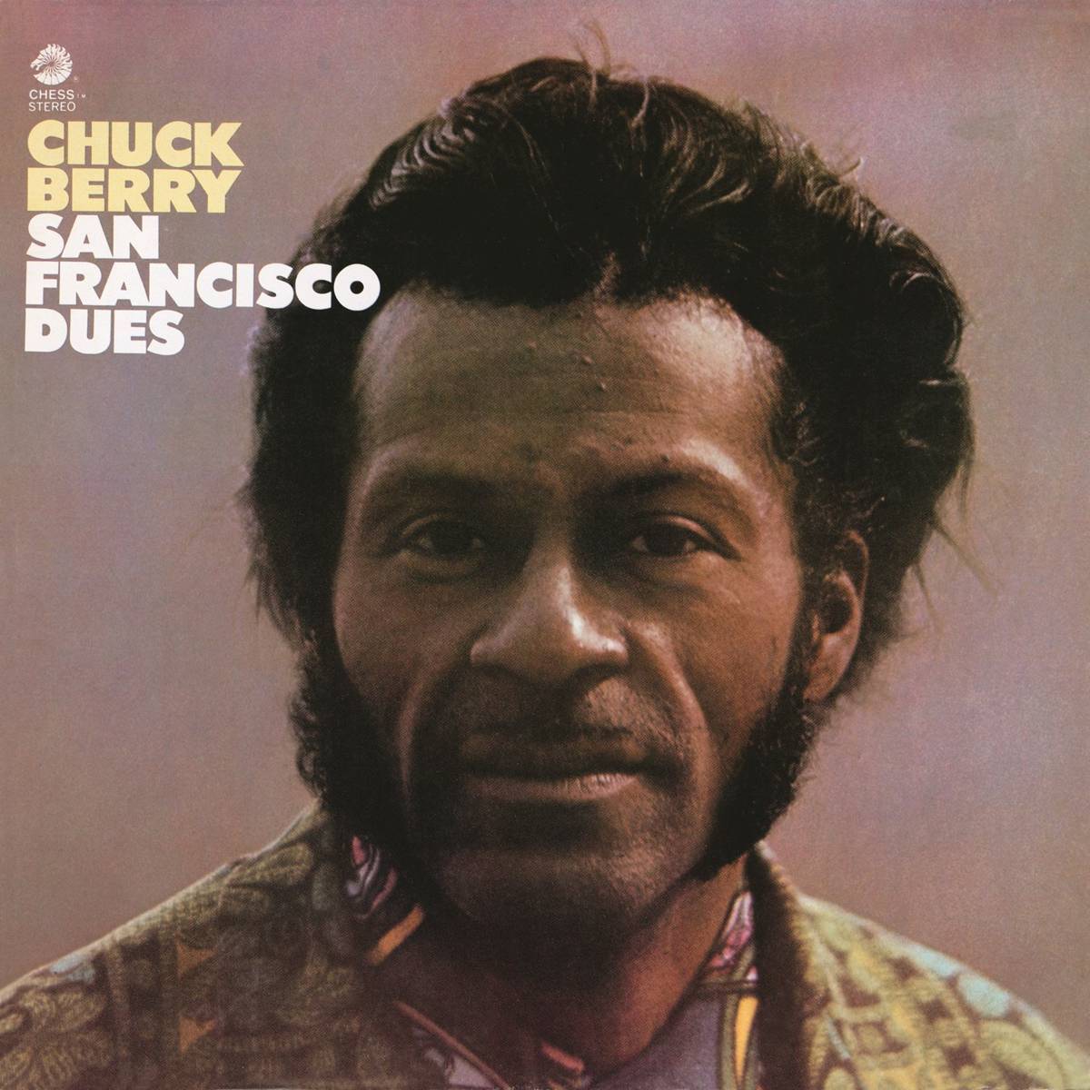 San Francisco Dues - Chuck Berry - Poster | Canvas Wall Art Print