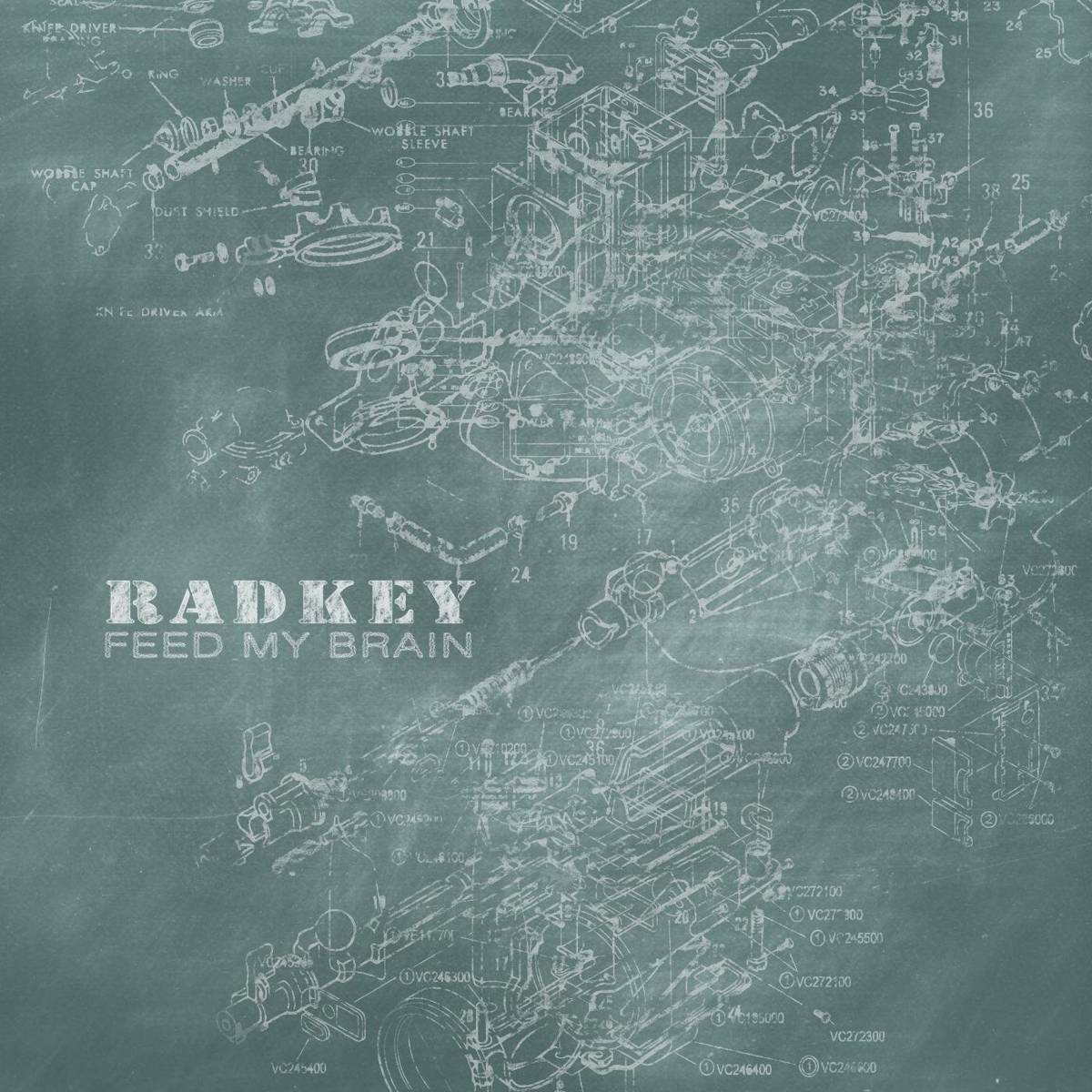 Feed My Brain - Radkey - Poster | Canvas Wall Art Print