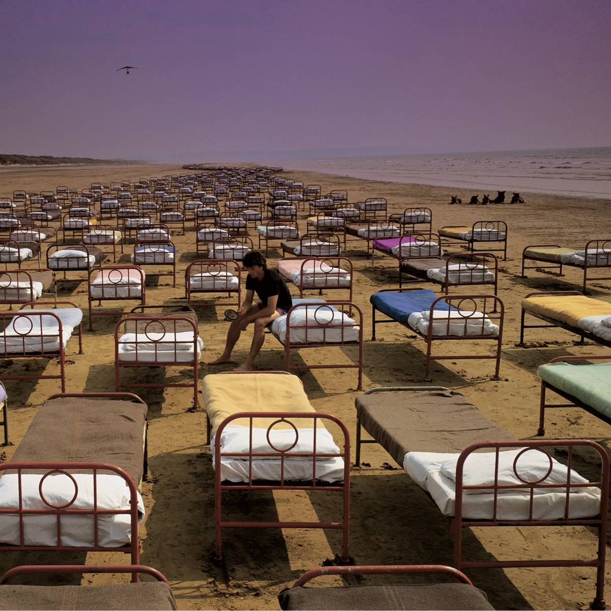 A Momentary Lapse Of Reason - Pink Floyd - Poster | Canvas Wall Art Print