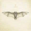 White Bat - He Is Legend - Poster | Canvas Wall Art Print