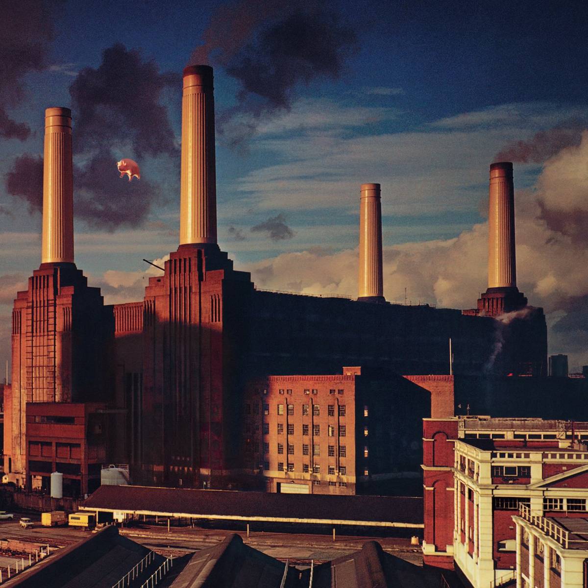 Animals - Pink Floyd - Poster | Canvas Wall Art Print