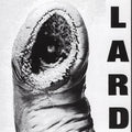 Power Of Lard - Lard - Poster | Canvas Wall Art Print