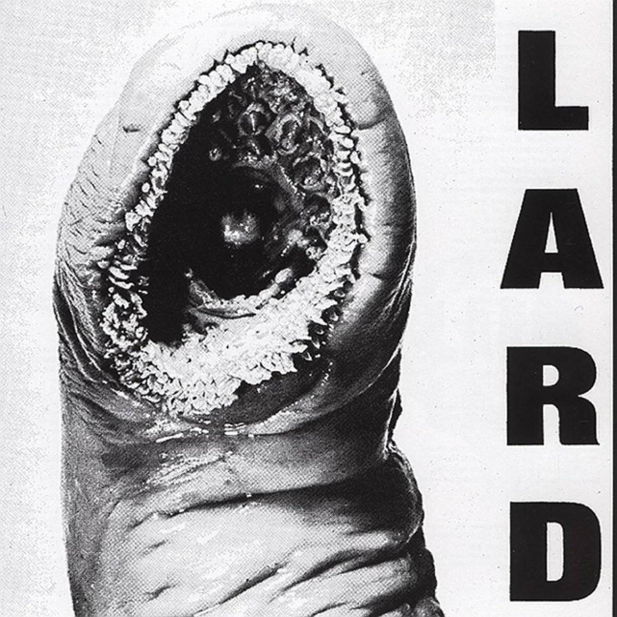 Power Of Lard - Lard - Poster | Canvas Wall Art Print