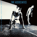 The Affectionate Punch - The Associates - Poster | Canvas Wall Art Print