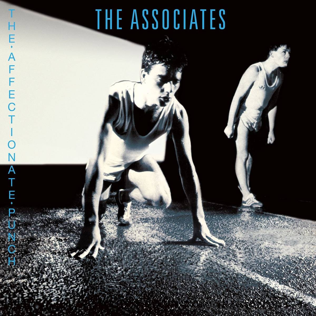 The Affectionate Punch - The Associates - Poster | Canvas Wall Art Print