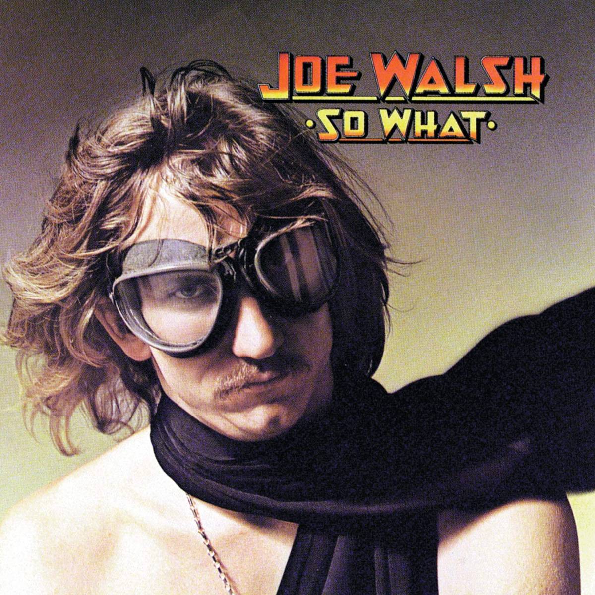So What (Reissue) - Joe Walsh - Poster | Canvas Wall Art Print