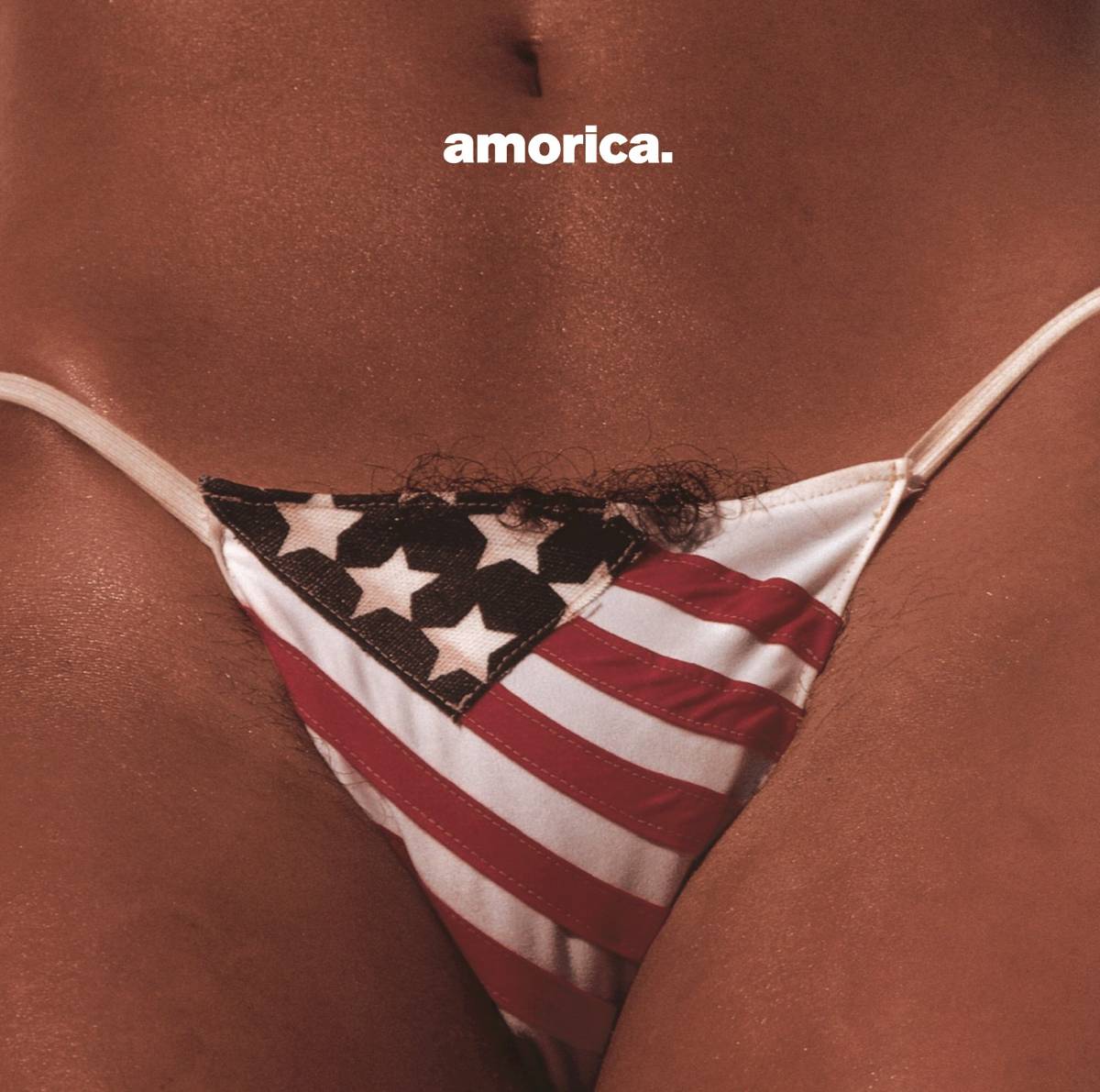 Amorica. - The Black Crowes - Poster | Canvas Wall Art Print