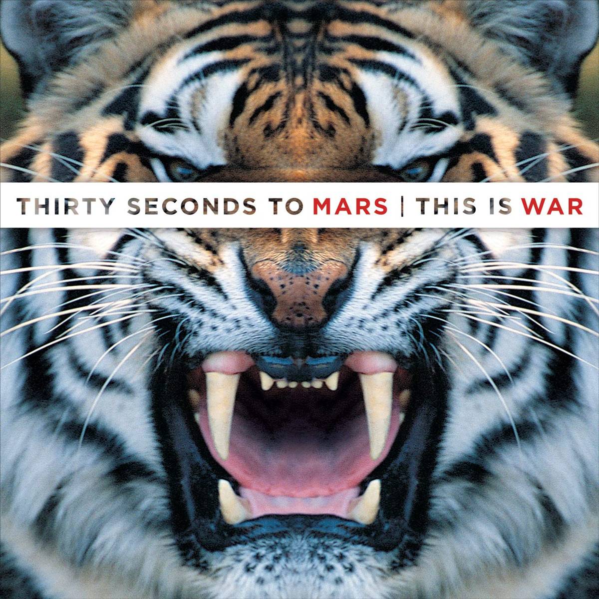 This Is War - Thirty Seconds To Mars - Poster | Canvas Wall Art Print