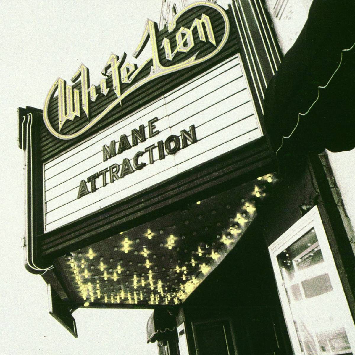 Mane Attraction - White Lion - Poster | Canvas Wall Art Print