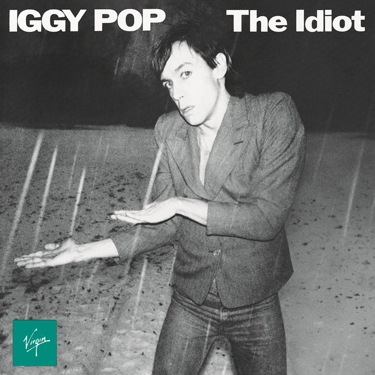 The Idiot - Iggy Pop - Poster | Canvas Wall Art Print