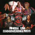 Live At Moondance Jam - Reo Speedwagon - Poster | Canvas Wall Art Print