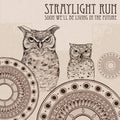 Soon We'Ll Be Living In The Future - Straylight Run - Poster | Canvas Wall Art Print