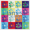 James: The Best Of - James - Poster | Canvas Wall Art Print